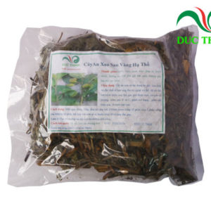 Mua cây an xoa ở đâu và giá bao nhiêu tiền 1kg?