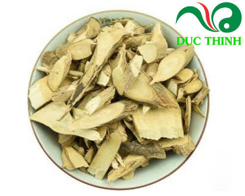 cay_bach_dong_nu_kho