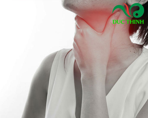 công dụng của bạch hoa xà thiệt thảo