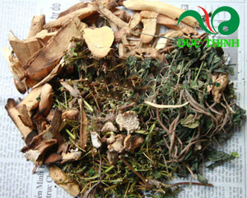 dây khổ rừng