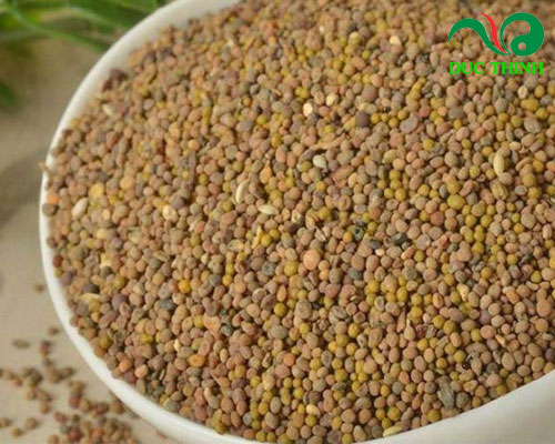 Bài thuốc điều trị bệnh hiệu quả từ dây tơ hồng