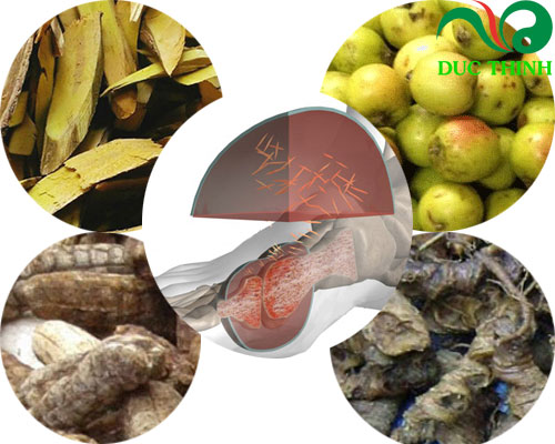 Bài thuốc hỗ trợ điều trị bệnh Gout