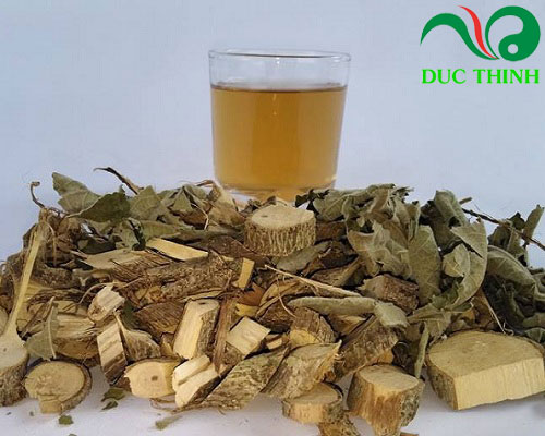 2 bài thuốc nam điều trị ung thư giai đoạn cuối