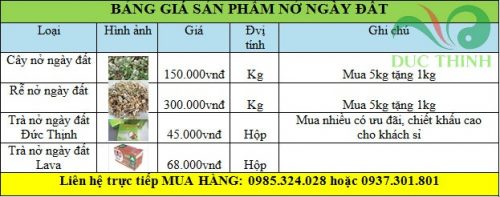 bảng giá rễ cây nở ngày đất