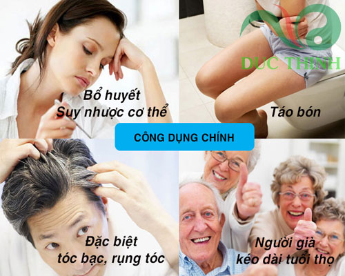 cac_doi_tuong_nen_dung_cao_ha_thu_o