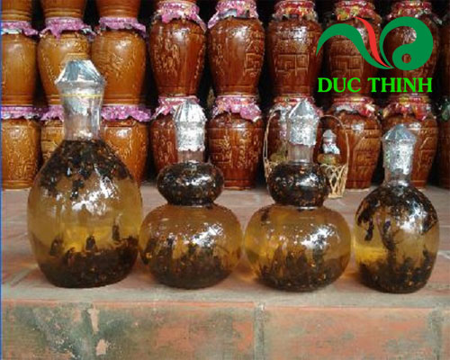 Rượu bạch tật lê
