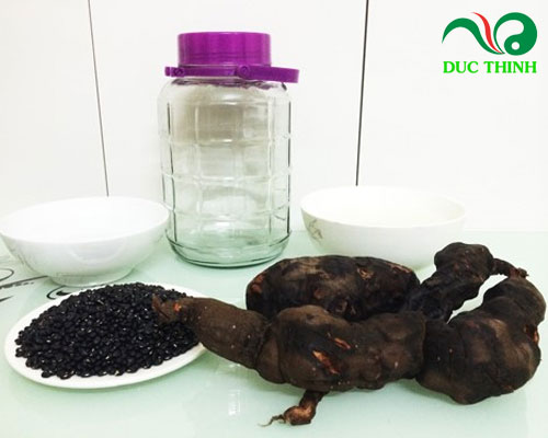 Cách ngâm rượu hà thủ ô đỏ