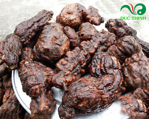 cách ngâm rượu hà thủ ô đỏ