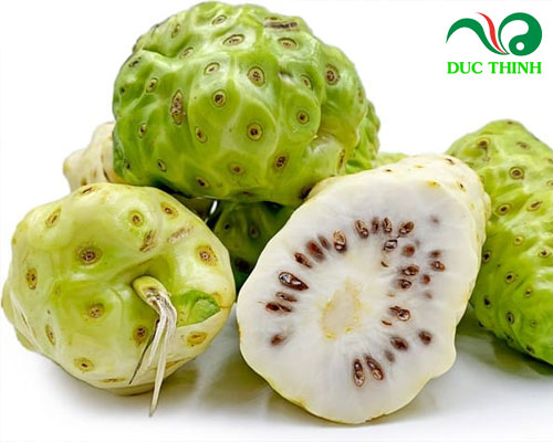 Công dụng của trái nhàu