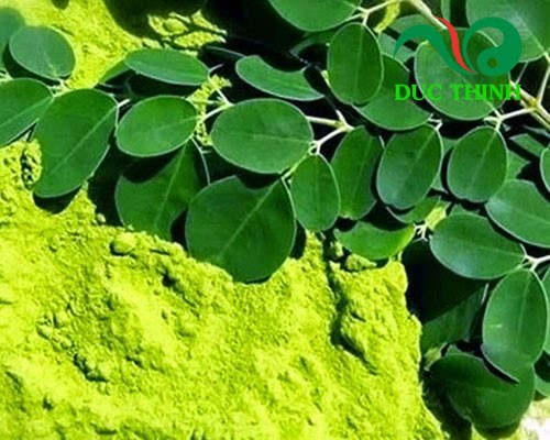 Cách sử dụng cây chùm ngây