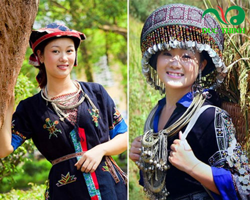 Cách sử dụng cây cỏ sữa lá nhỏ