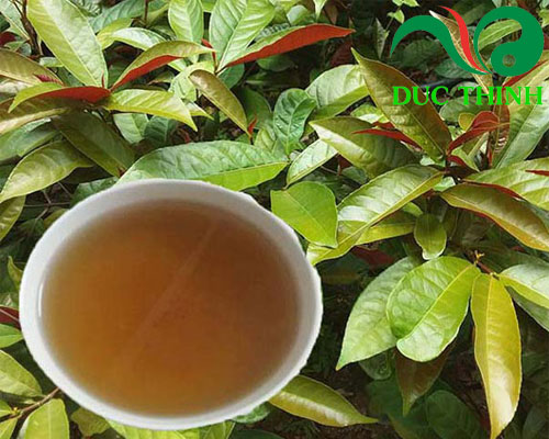 cach_dung_cay_don_la_do