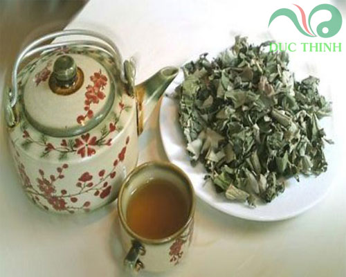 cach_dung_cay_soi_rung