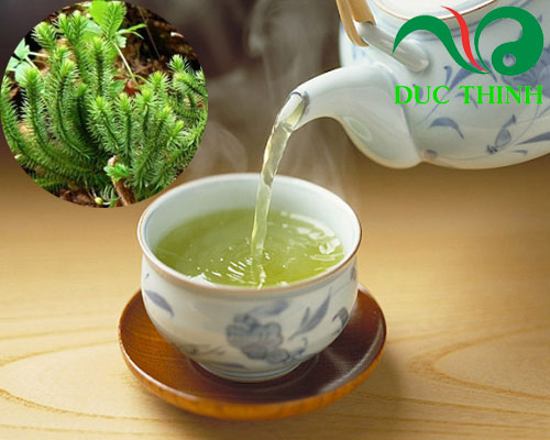 cach_dung_cay_thong_dat