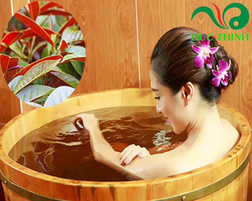 cach_dung_cay_don_la_do_tri_benh_me_day