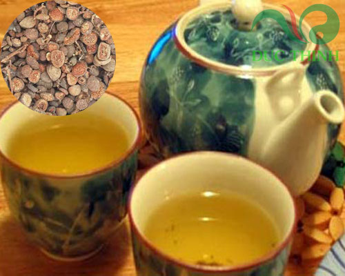 cach_dung_qua_sung_tri_soi_than