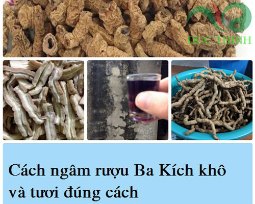 cach_ngam_ruou_ba_kich