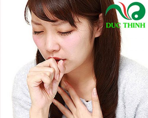 Cam thảo dây trị ho