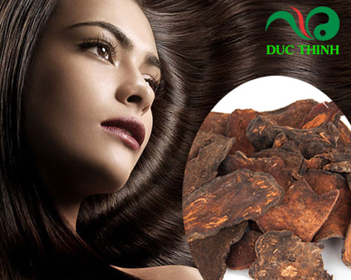 cao_ha_thu_o_giup_den_toc