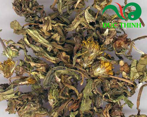 Lá bồ công anh khô