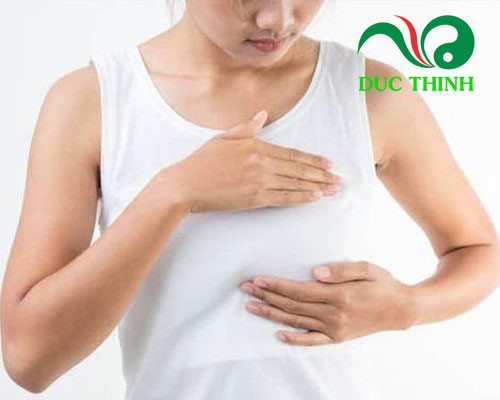 cây bồ công anh có tác dụng gì