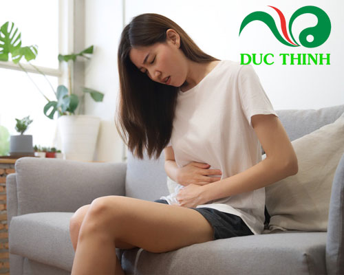 Cây bồ công anh chữa đau dạ dày