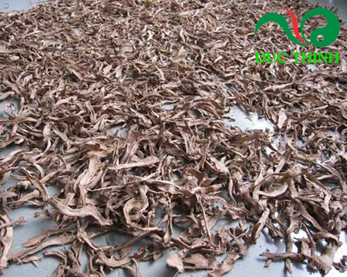 Cách sử dụng cây cát lồi