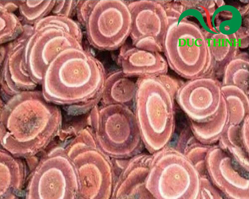 Cây cỏ máu sắc lát phơi khô