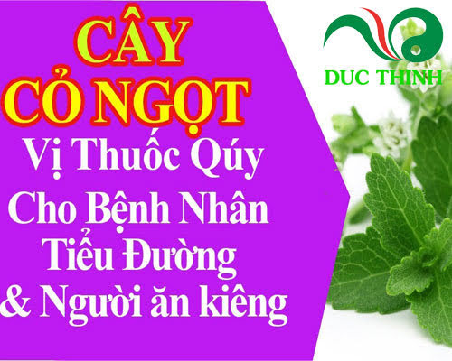 cây cỏ ngọt