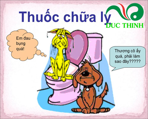 Cây cỏ sữa chữa lỵ