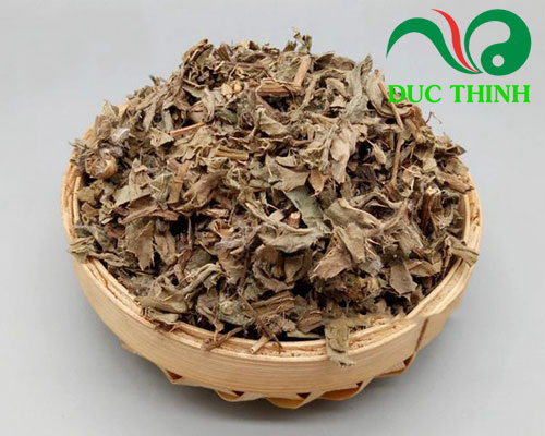 Cây đại kế khô