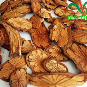 cây huyết rồng