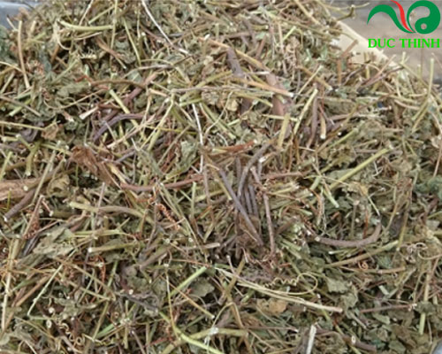 cách dùng cây lạc tiên khô