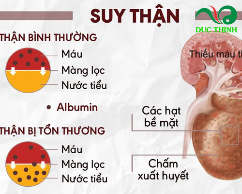 Cây phèn đen và những tác dụng hỗ trợ trị bệnh