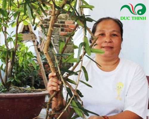 xáo tam phân giá bao nhiêu