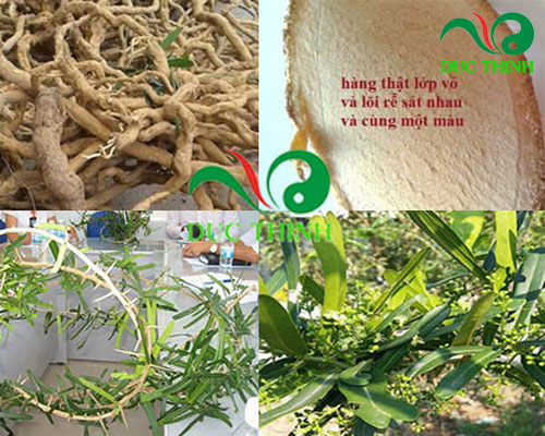 xáo tam phân giá bao nhiêu