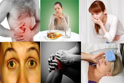 Đối tượng sử dụng cây xương khỉ