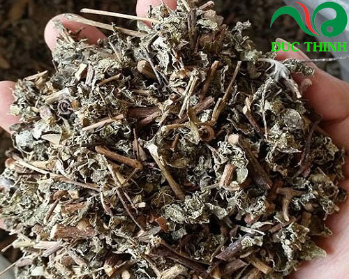 chè dây