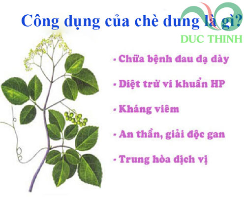 cong_dung_cua_che_dung