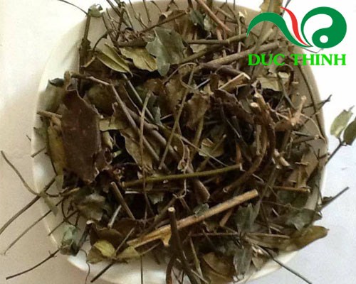 chè vằng
