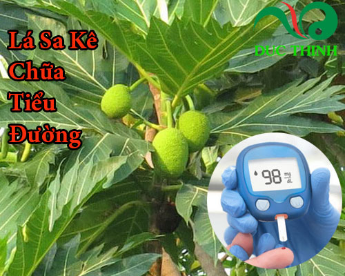 Lá sa kê chữa tiểu đường 