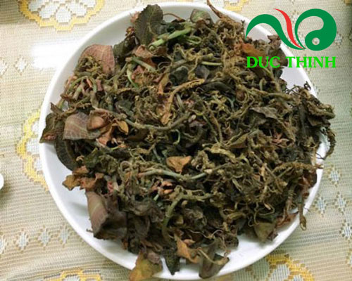 cỏ kim tuyến khô