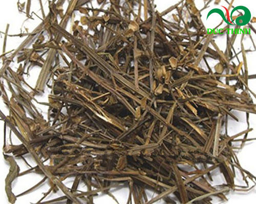 Tác dụng của cây bán chi liên là gì?