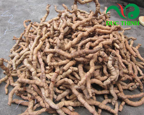 Công dụng của ba kích tím