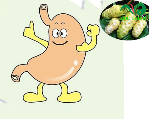 Công dụng của trái nhàu