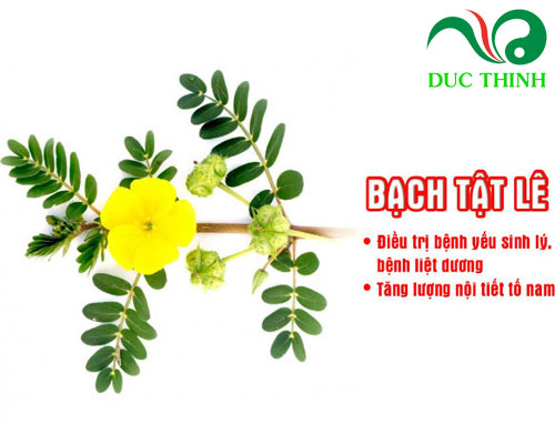 tac_dung_cua_bach_tat_le