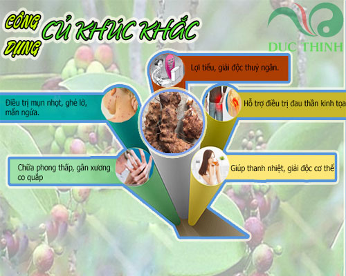 cong_dung_cua_cu_khuc_khac