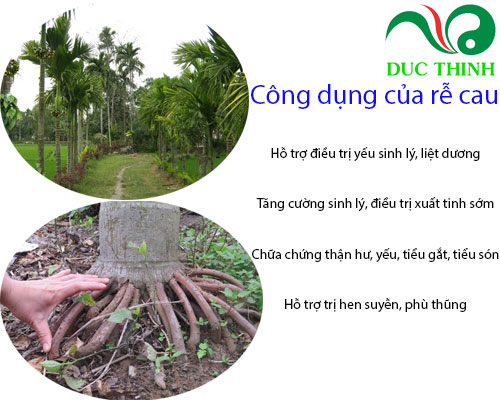 cong_dung_cua_re_cau