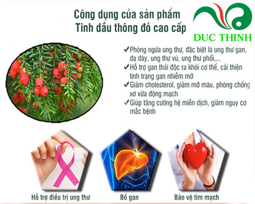 cong_dung_cua_tinh_dau_thong_do