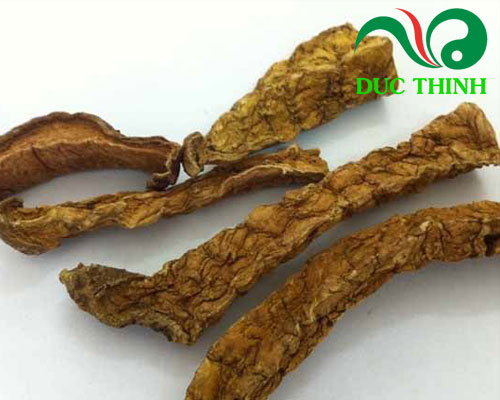 Củ bình vôi khô